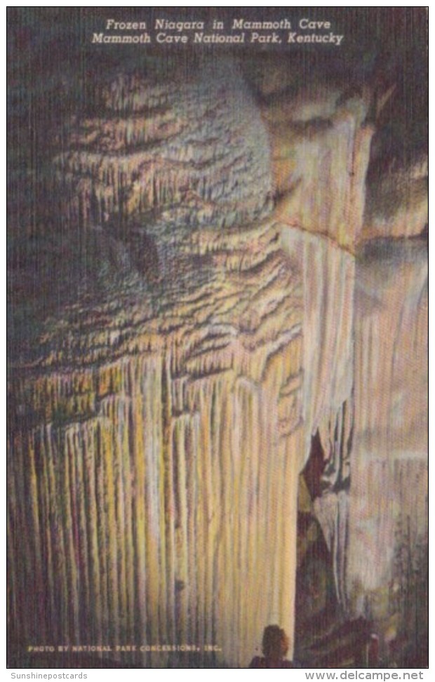 Kentucky Mammoth Cave Frozen NIagara 1940 Curteich - Mammoth Cave