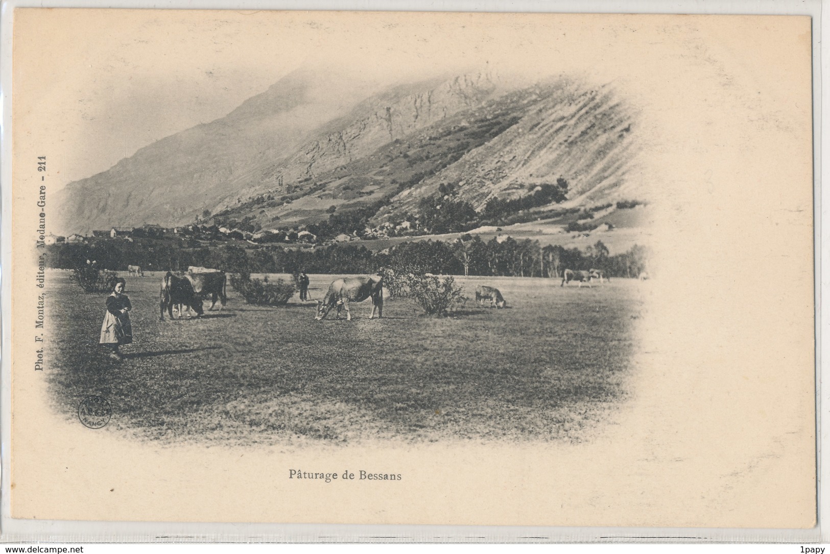 Savoie - Paturage à Bessans - Troupeau Vaches Bergere - Autres & Non Classés