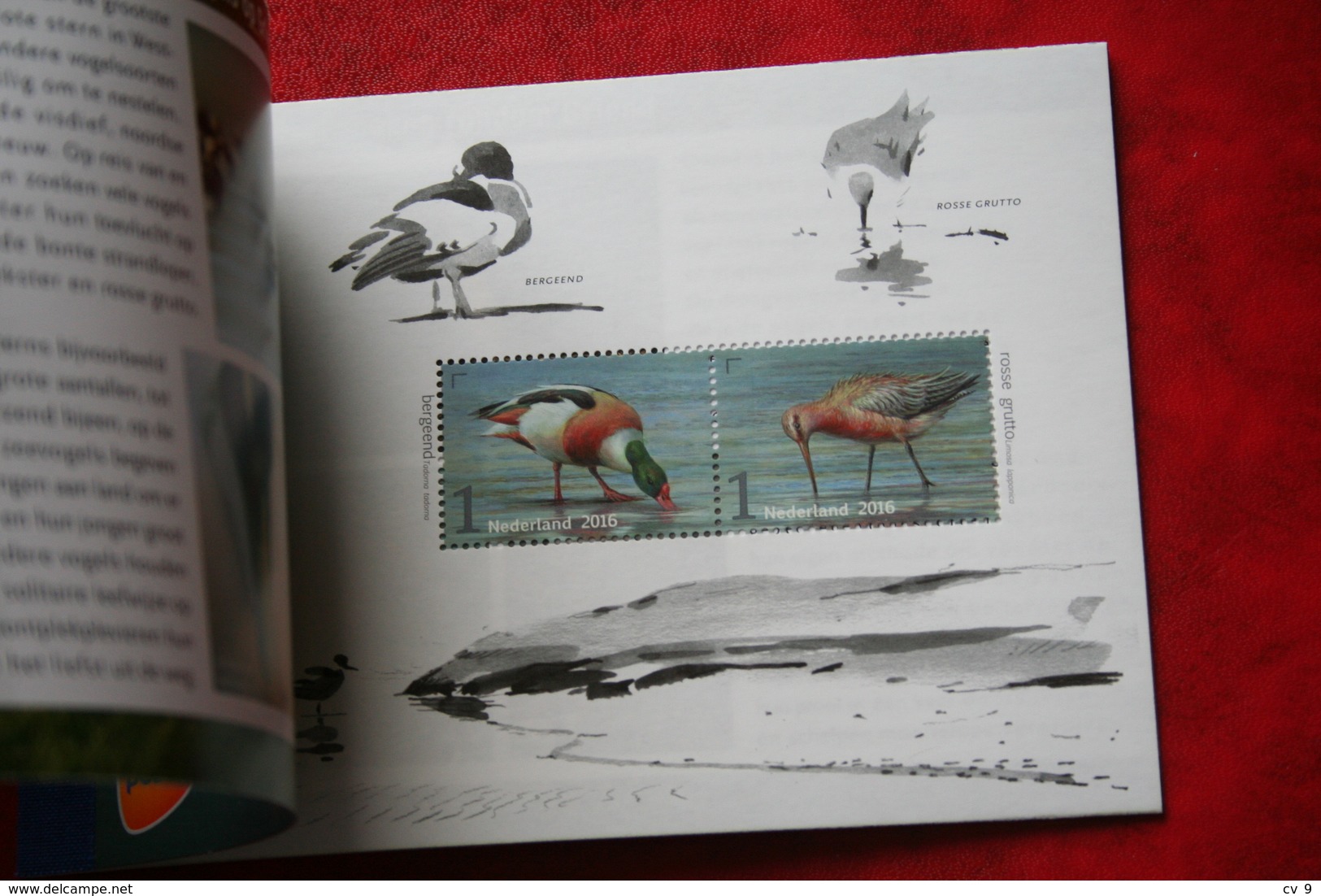 Fauna Birds Vogels Oiseaux Pajaros Prestige Boekje Prestigeboekje Nr 63 PR63 2016 POSTFRIS MNH ** Nederland Netherlands - Carnets Et Roulettes