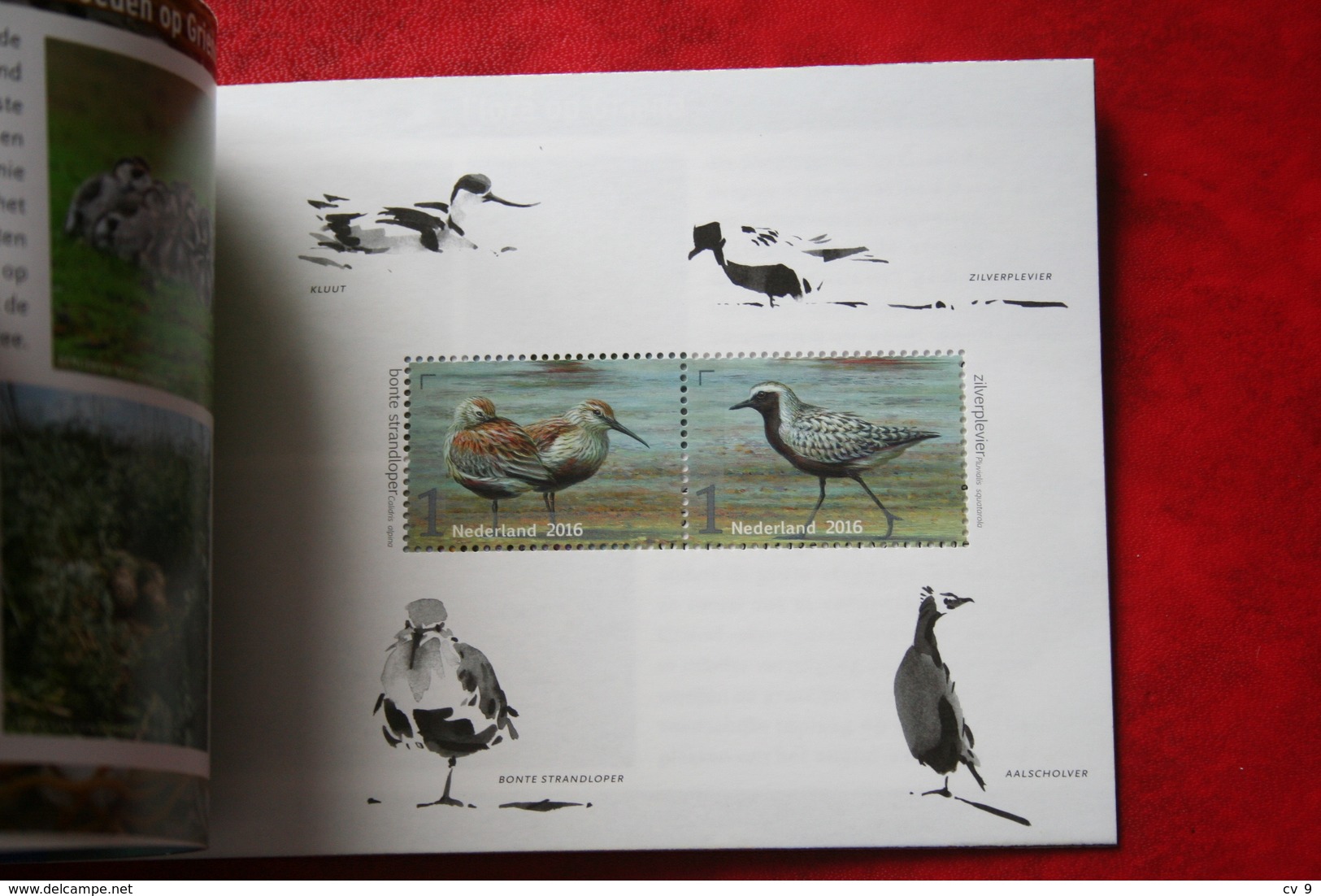 Fauna Birds Vogels Oiseaux Pajaros Prestige Boekje Prestigeboekje Nr 63 PR63 2016 POSTFRIS MNH ** Nederland Netherlands - Carnets Et Roulettes