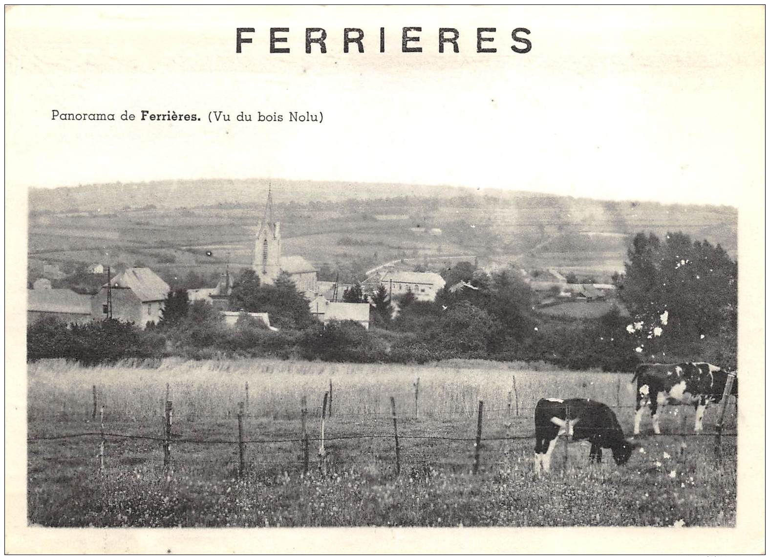 Ferrières - Vu Du Bois Nolu - Ferrieres