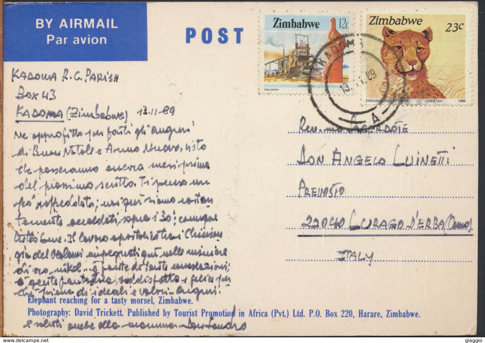 °°° 1665 - ZIMBABWE - ELEPHANT REACHING FOR A TASTY MORSEL - 1989 °°° - Zimbabwe