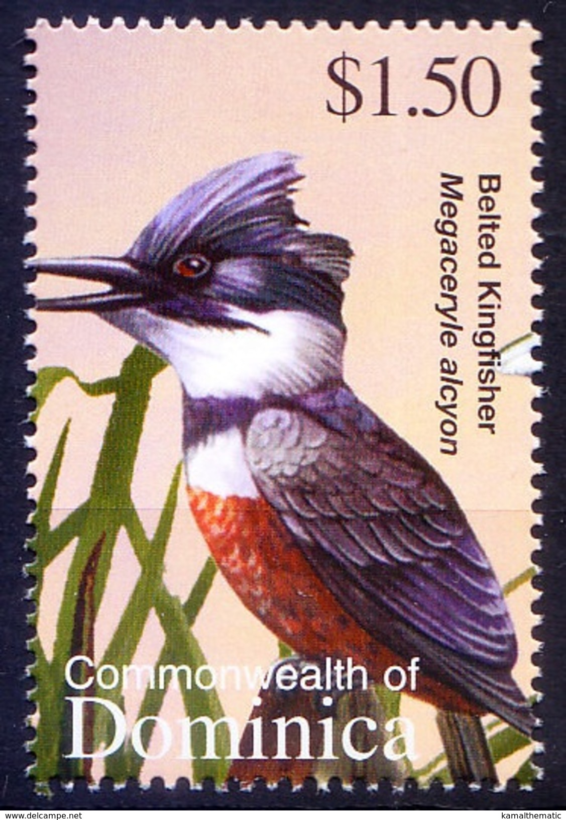 Belted Kingfisher, Birds, Dominica 2002 MNH - Zwaluwen