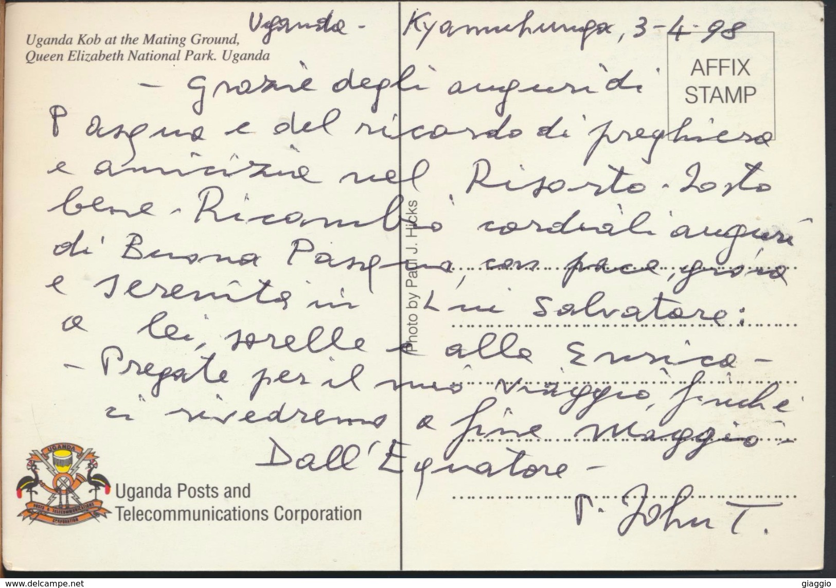 °°° 1687 - UGANDA - KOB AT THE MATING GROUND - 1998 °°° - Ouganda