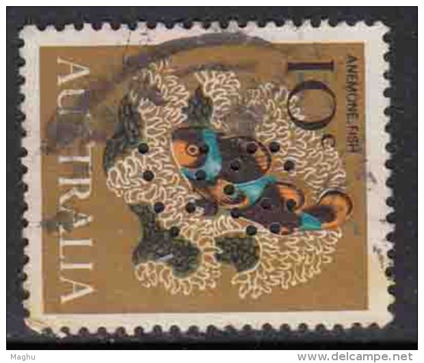 10c Anemone Fish 1966,  Perfin, Pefins, Australia Used, - Perforés