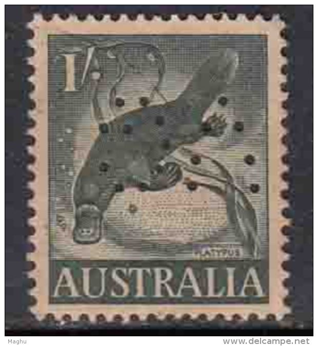 1s Platypus,  Perfin, Pefins, Australia Used, 1959 ,  Fauna, - Perforés