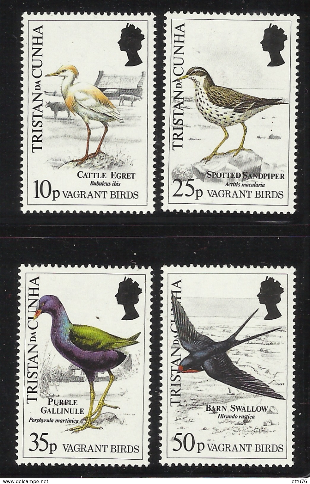 TRISTAN DA CUNHA  1989  BIRDS  SET   MNH - Autres & Non Classés