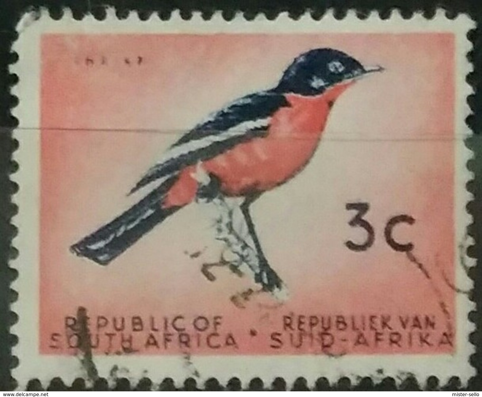 SUDAFRICA - AFRICA DEL SUR 1961 Birds. USADO - USED. - Usados