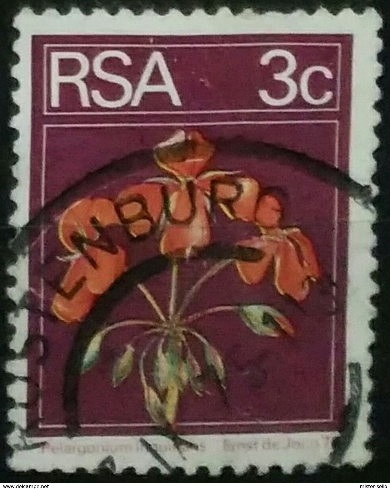 SUDAFRICA - AFRICA DEL SUR 1974 Flora And Fauna. USADO - USED. - Usados