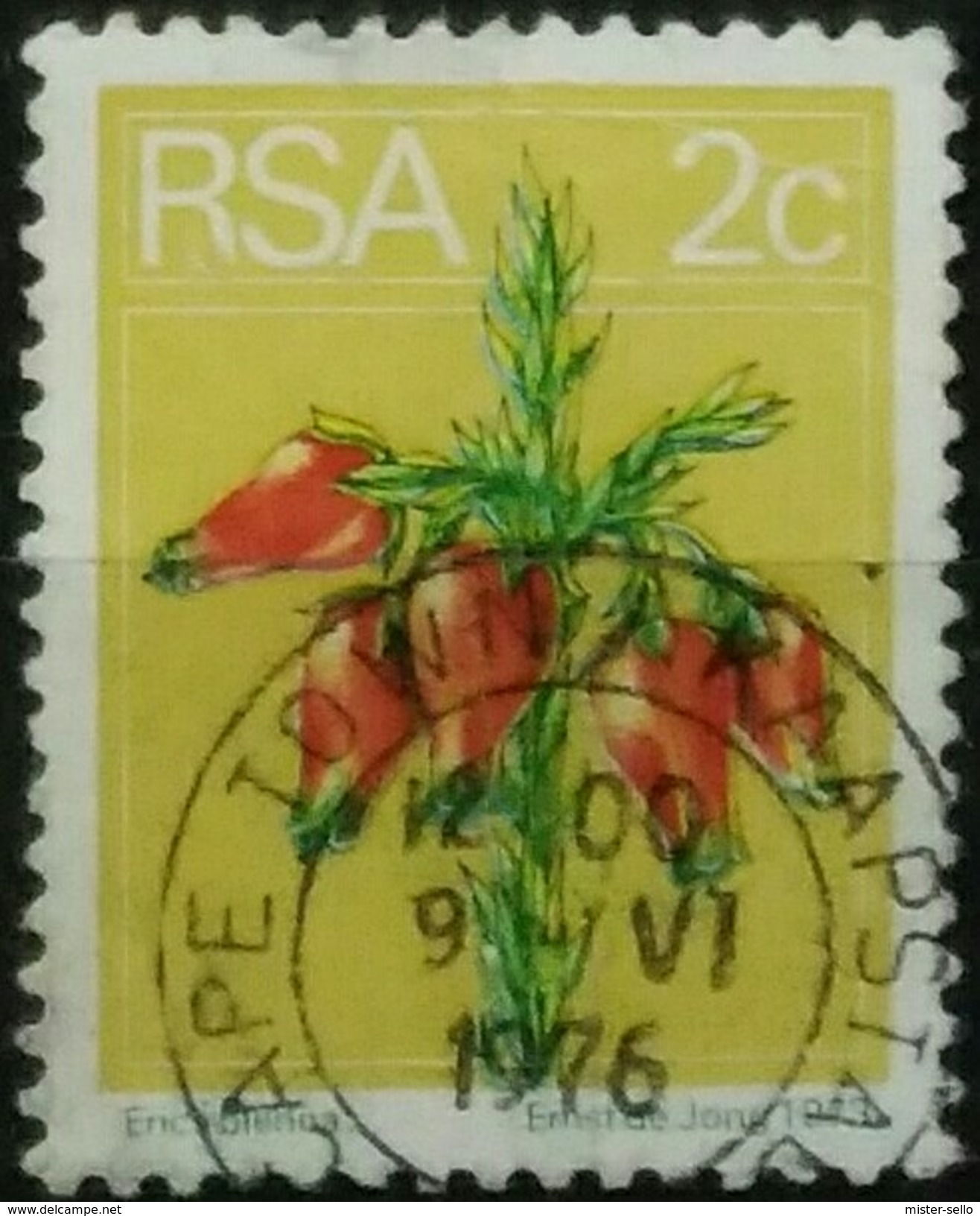 SUDAFRICA - AFRICA DEL SUR 1974 Flora And Fauna. USADO - USED. - Usados