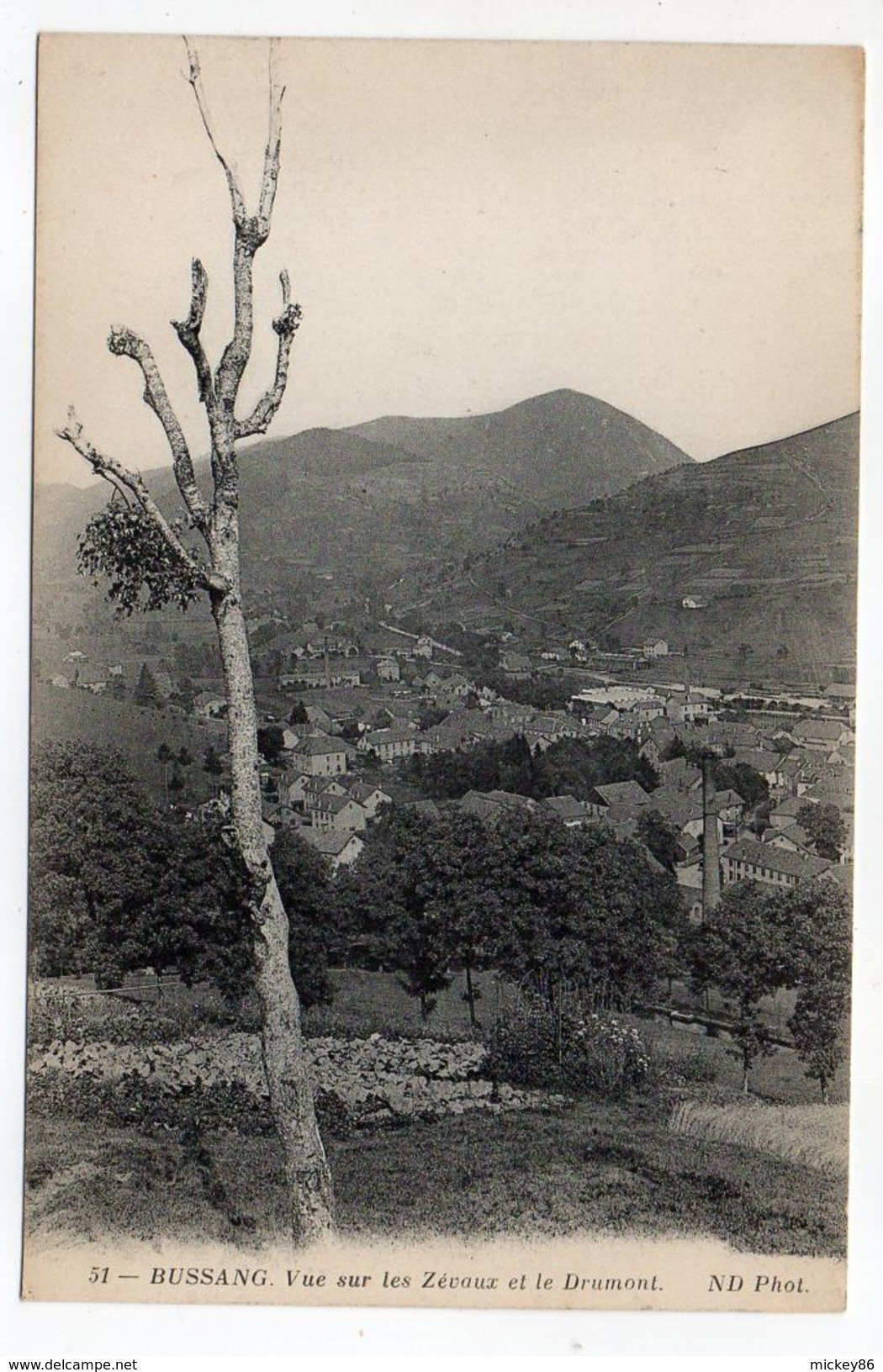 BUSSANG--Vue Sur Les Zévaux Et Le Drumont  N° 51  éd  ND Phot............... à Saisir - Bussang