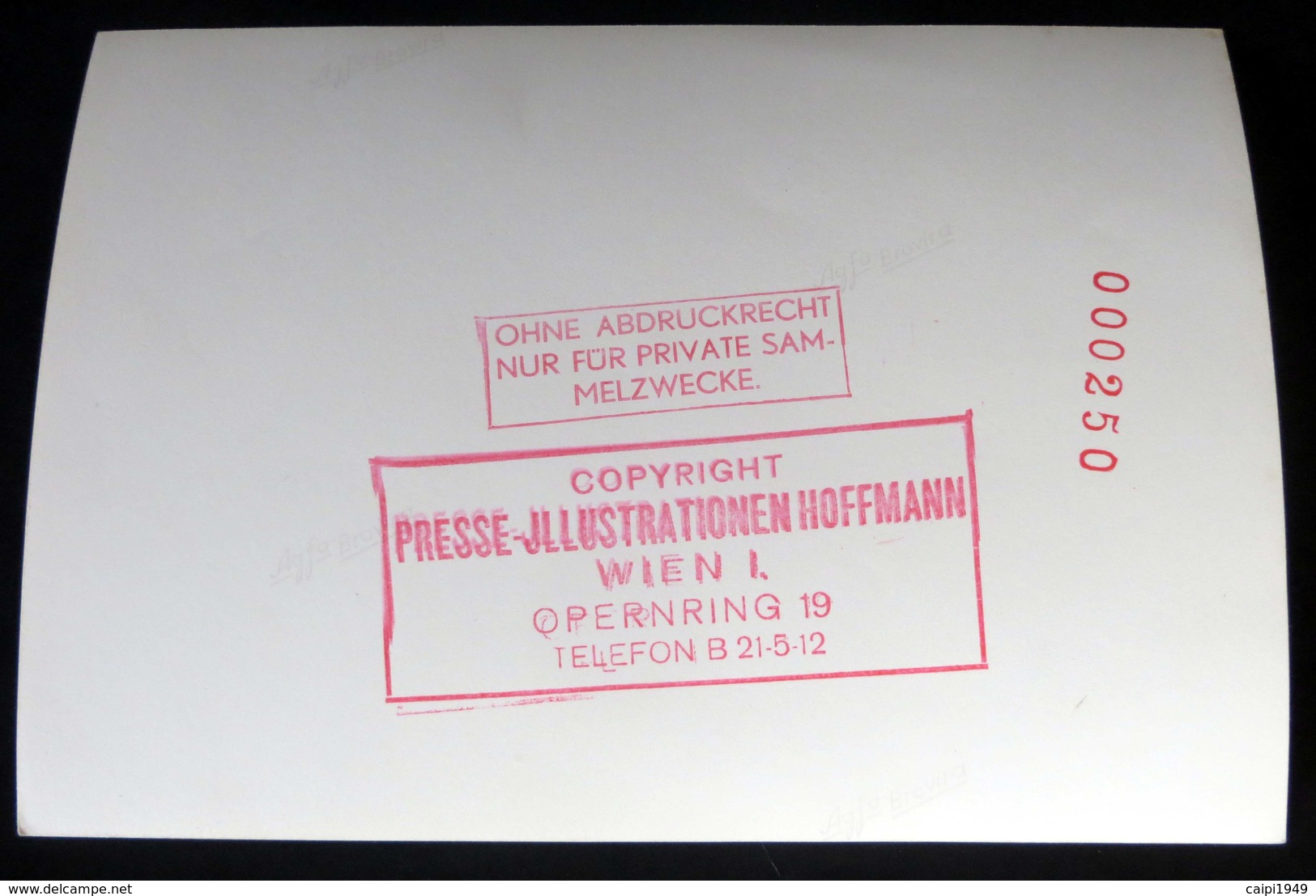 Hoffmann-Pressefoto S/w, 13 X 18 Cm - Briefe U. Dokumente