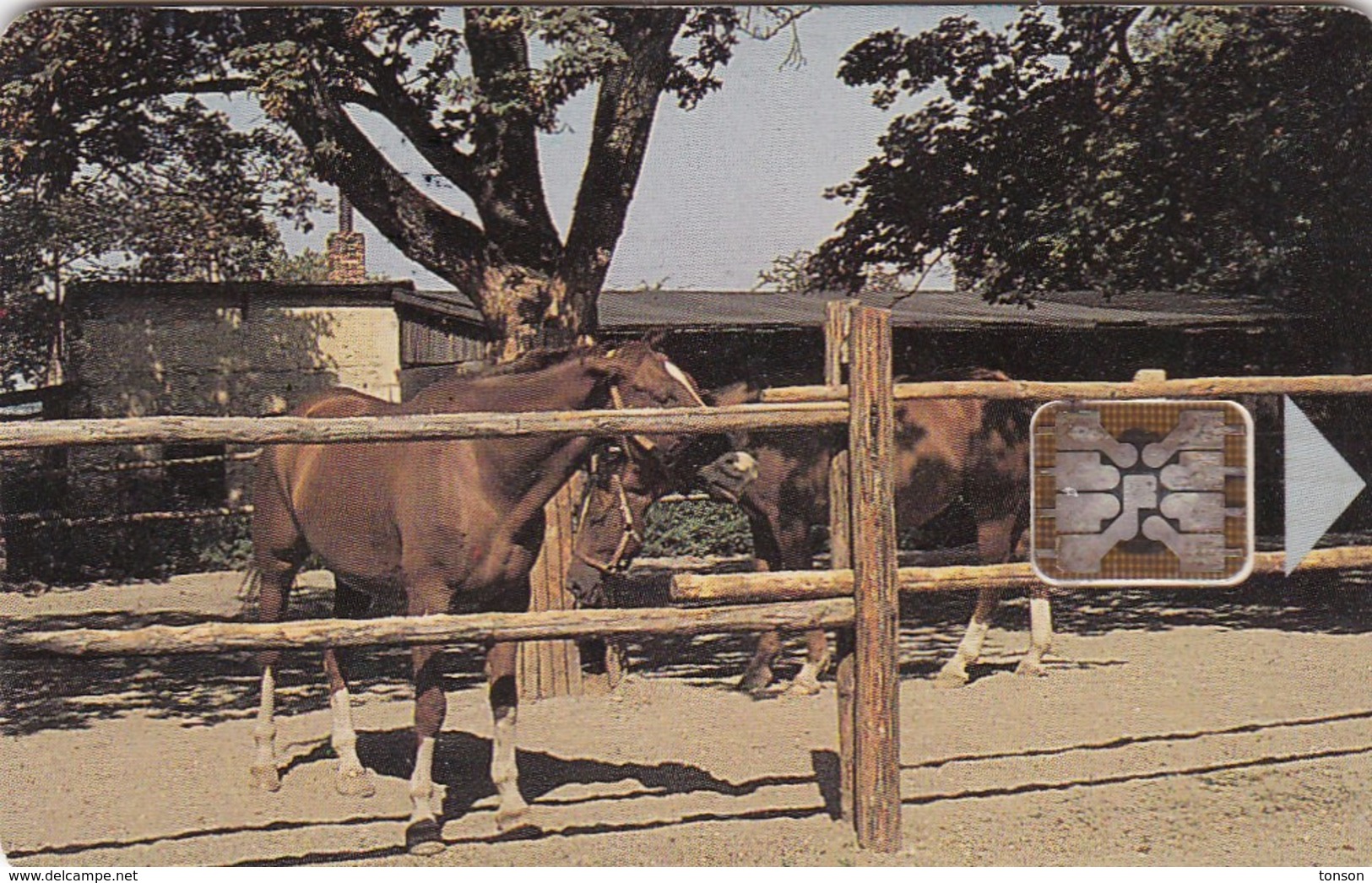 Czechoslovakia, CS-CSF-PUB-0018, Psychiatric Sanatorium - Bohnice, Horses,2 Scans.    Chip : SC5  SB - Tsjechoslowakije