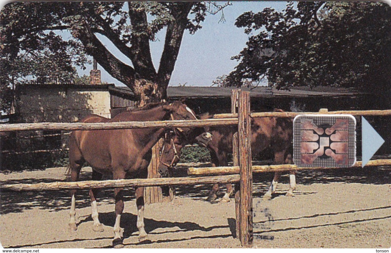 Czechoslovakia, CS-CSF-PUB-0018, Psychiatric Sanatorium - Bohnice, Horses,2 Scans.    Chip : SC4  SB - Cecoslovacchia