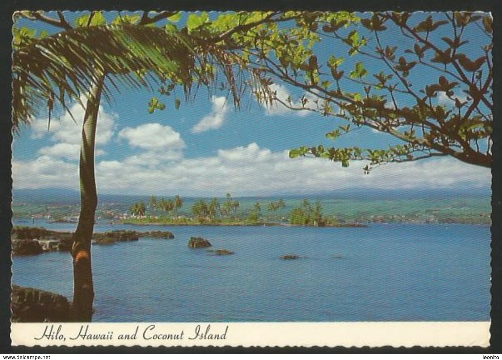 HAWAII HILO Town Big Island And Coconut Island 1977 - Big Island Of Hawaii