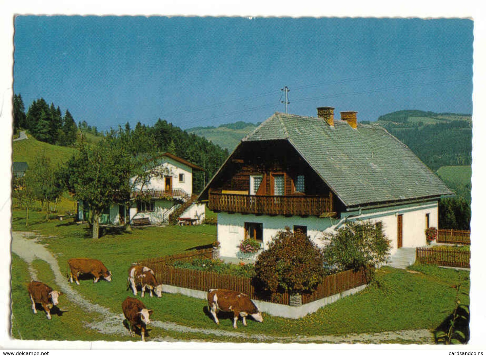 Waisenegg Bei Birkfeld 1977gel - Urlaub Am Bauernhof - Kühe - Birkfeld
