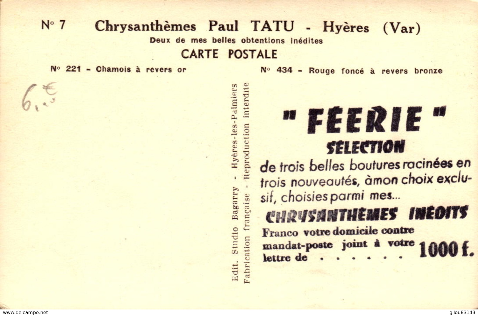 Var, Hyeres, Chrysanthemes Paul Tatu, Publicitaire    (bon Etat) - Hyeres