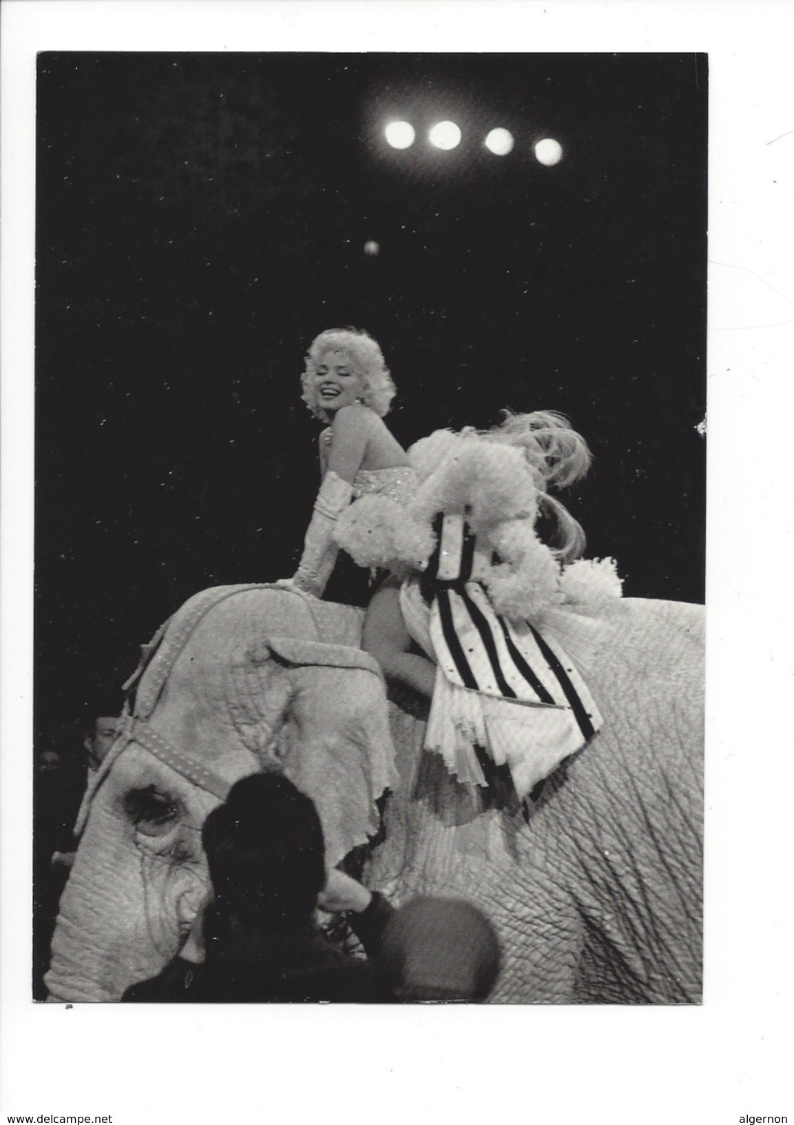 16378 - Marilyn Monroe Circus New York 1951 Eléphant  Photograph By Erika Stone Fotofolio - Acteurs