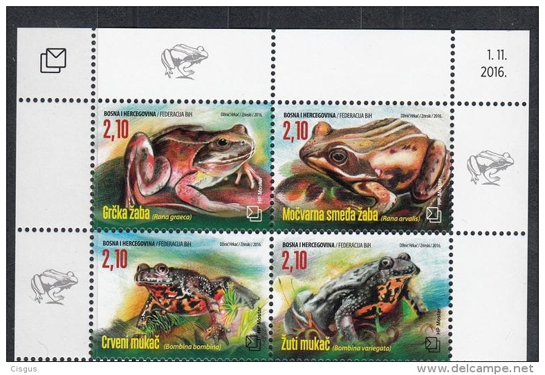 Bosnia 2016 Bosnien Herzegowina Mostar  09-2016 KB Fauna Frogs Zd M - Frösche