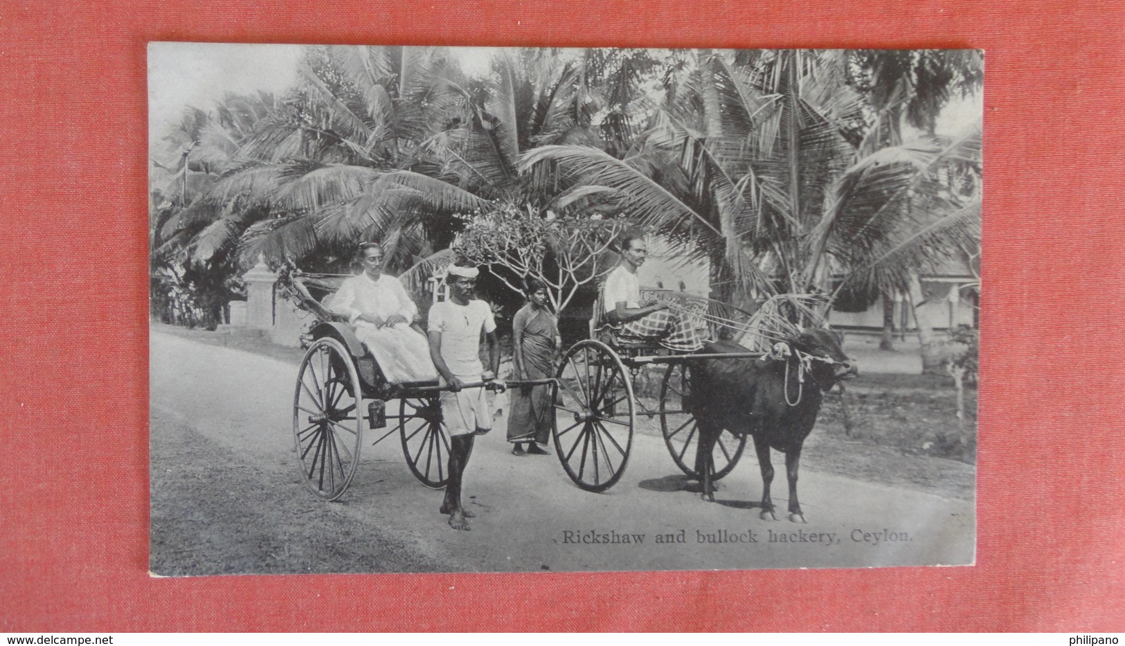 Sri Lanka (Ceylon) Rickshaw & Bullock Hackery Ceylon    Ref 2516 - Sri Lanka (Ceylon)
