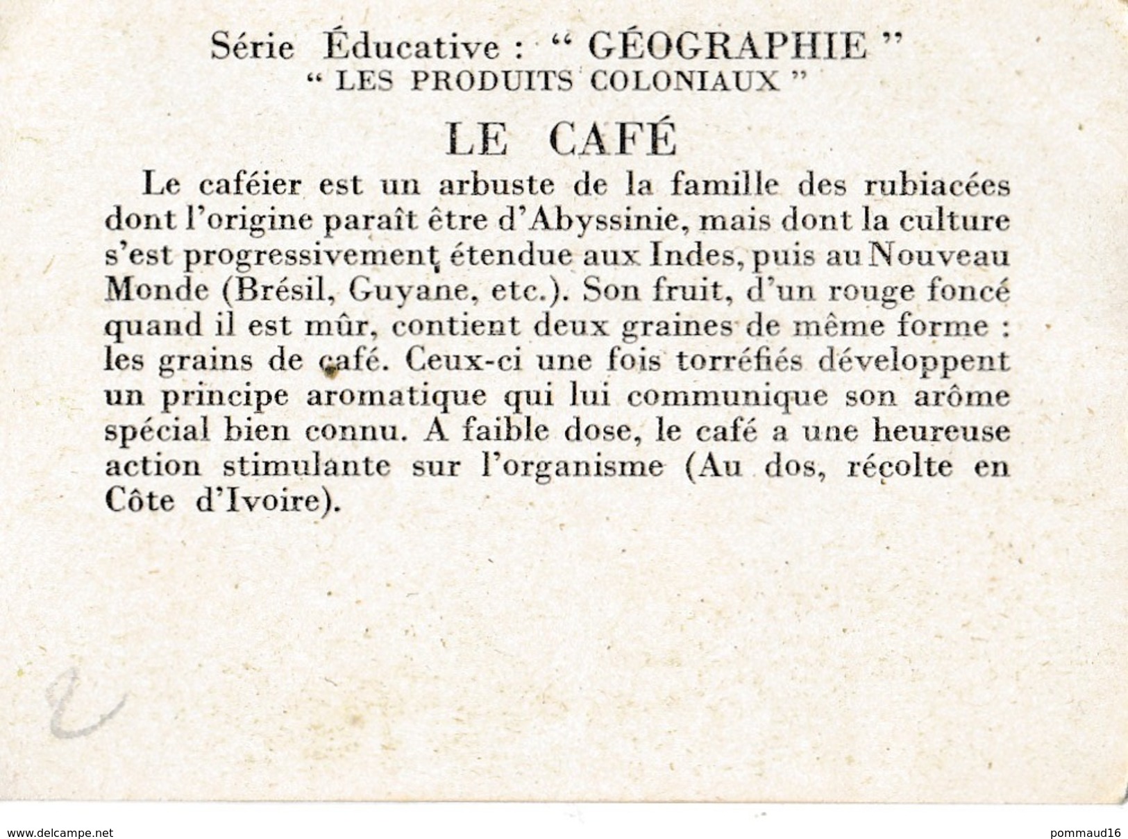 Image Le Café - Les Produits Coloniaux, Série éducative Géographie - Autres & Non Classés