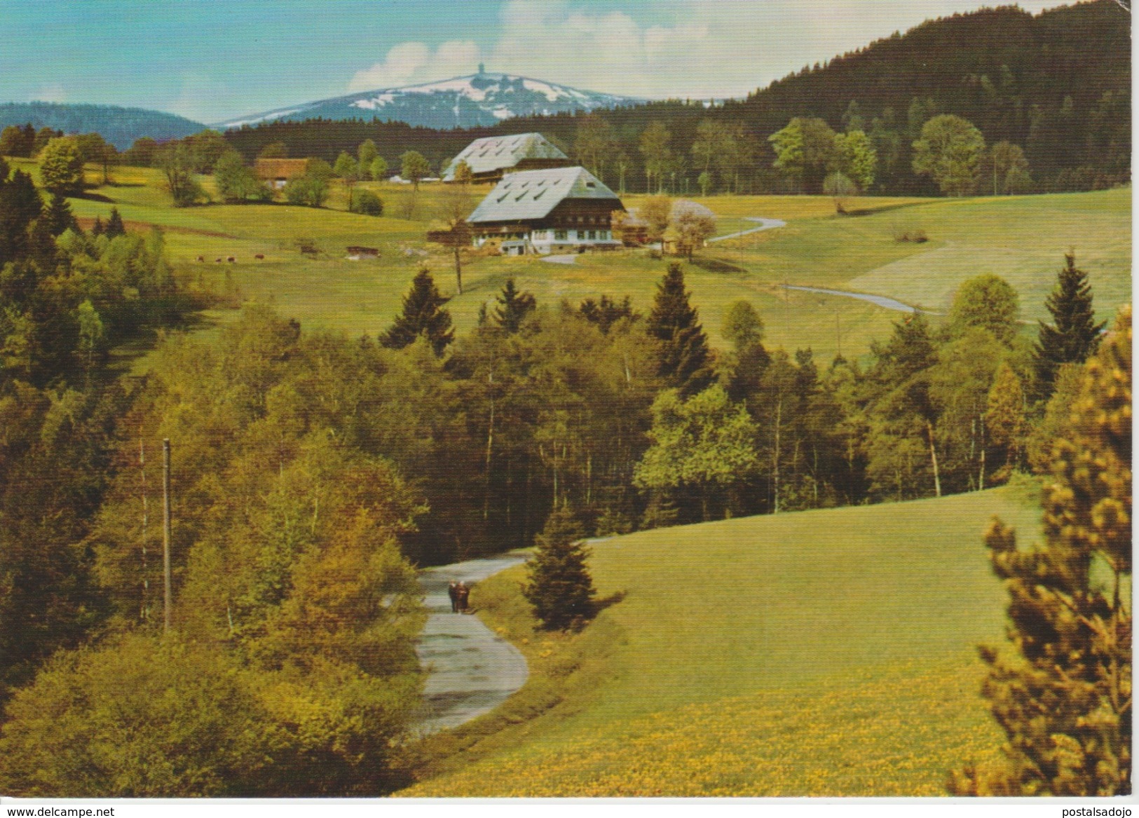 (DE228) HINTERZARTEN . OBERZARTEN. SCHWARZWALD .. UNUSED - Hinterzarten