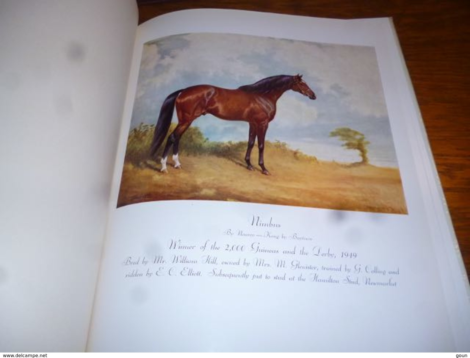 Top Livre A Hundred Horses By Juliet Mc Leod Nombreuses Gravures Dessins Chevaux - Cheval - Kultur