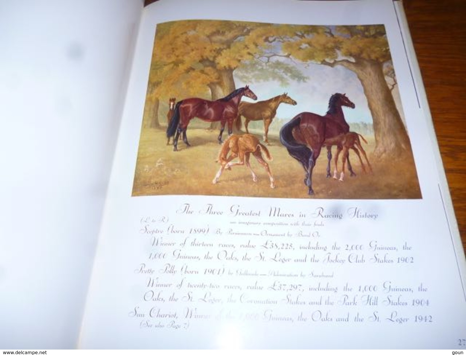 Top Livre A hundred horses by Juliet Mc Leod nombreuses gravures dessins chevaux - cheval