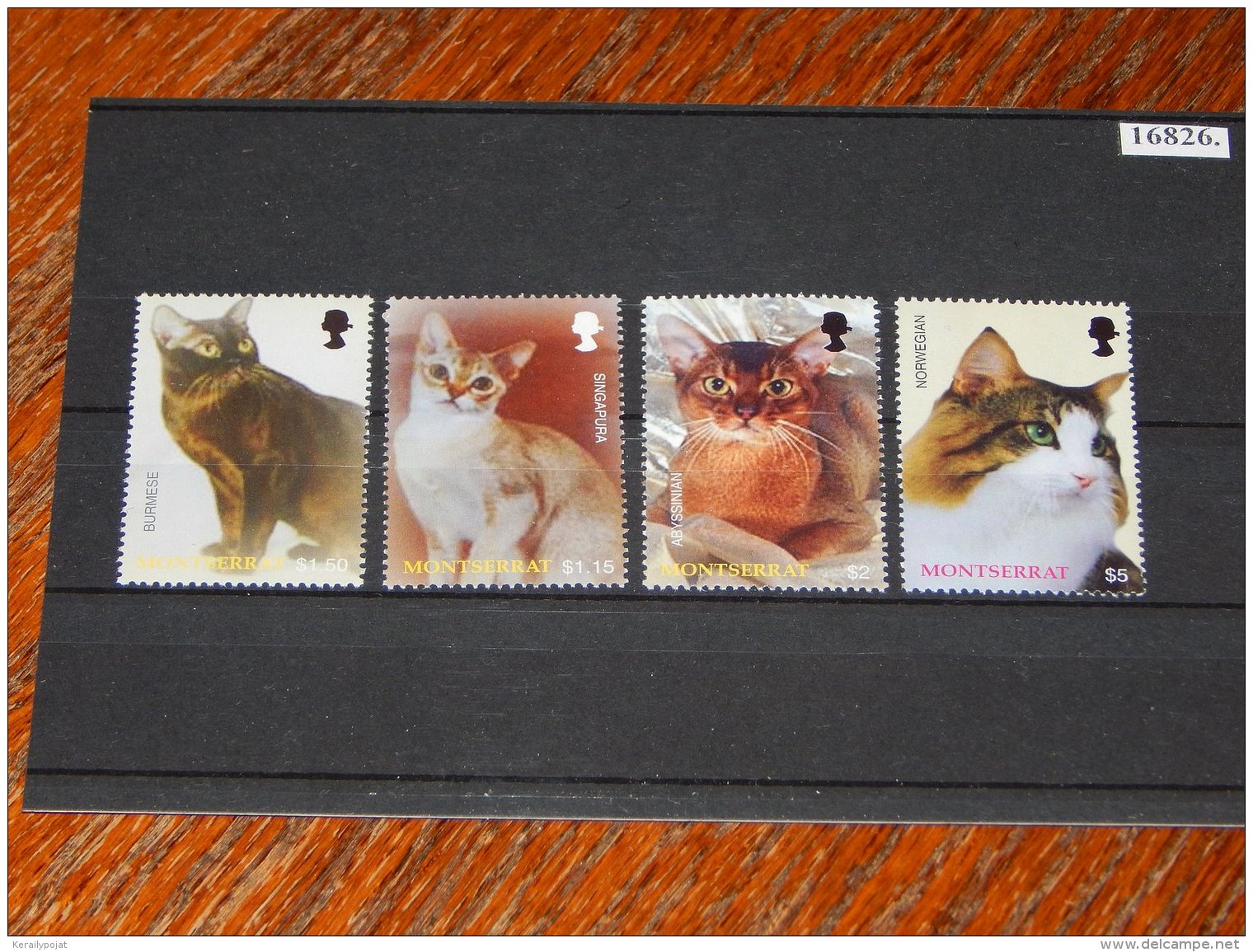 Montserrat 2004 Cats MNH__(TH-16826) - Montserrat