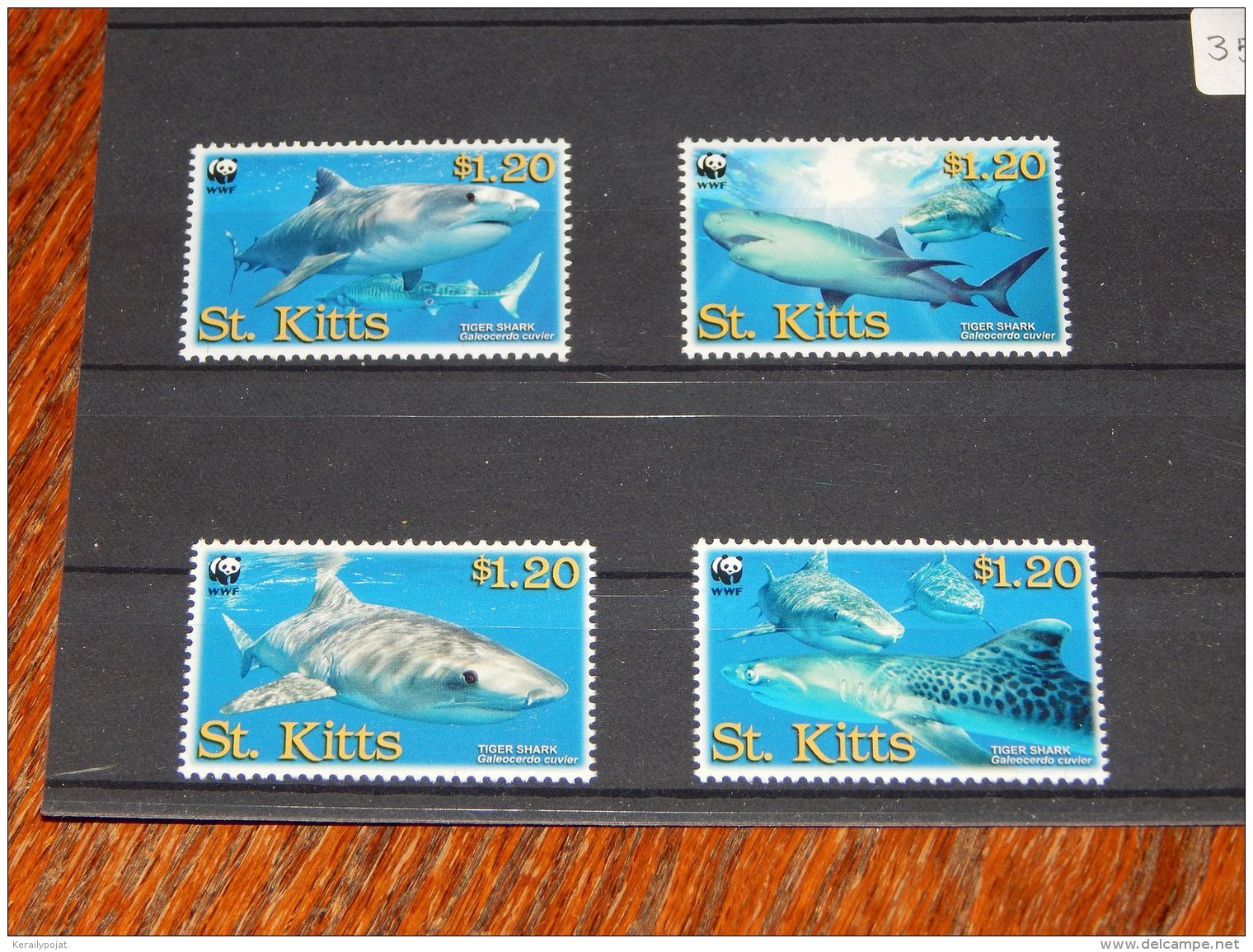 St.Kitts 2007 Tiger Shark MNH__(TH-3583) - St.Kitts E Nevis ( 1983-...)