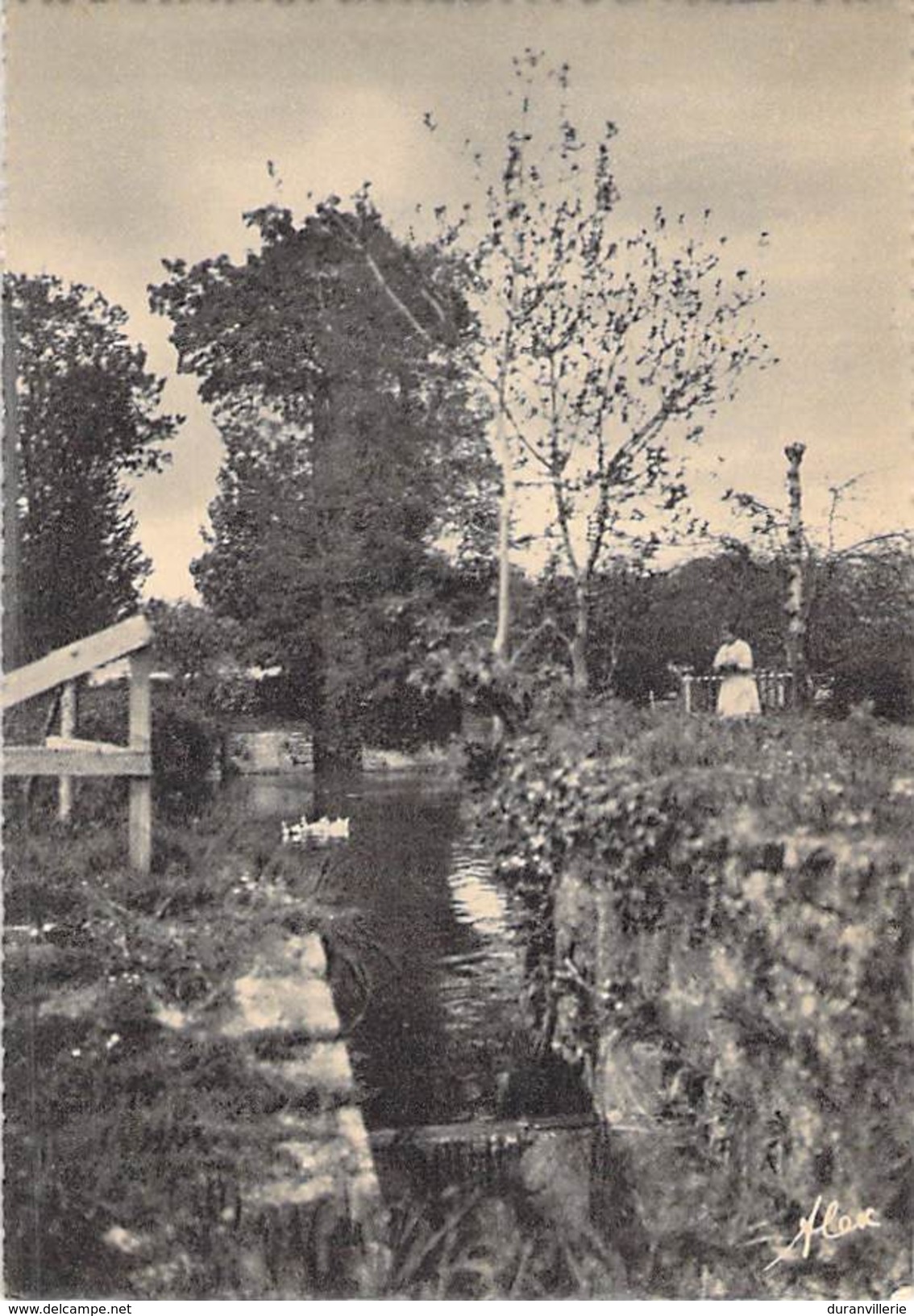 50 - Valognes - Monastère De N.-D. De Charité - Rivière. - Valognes