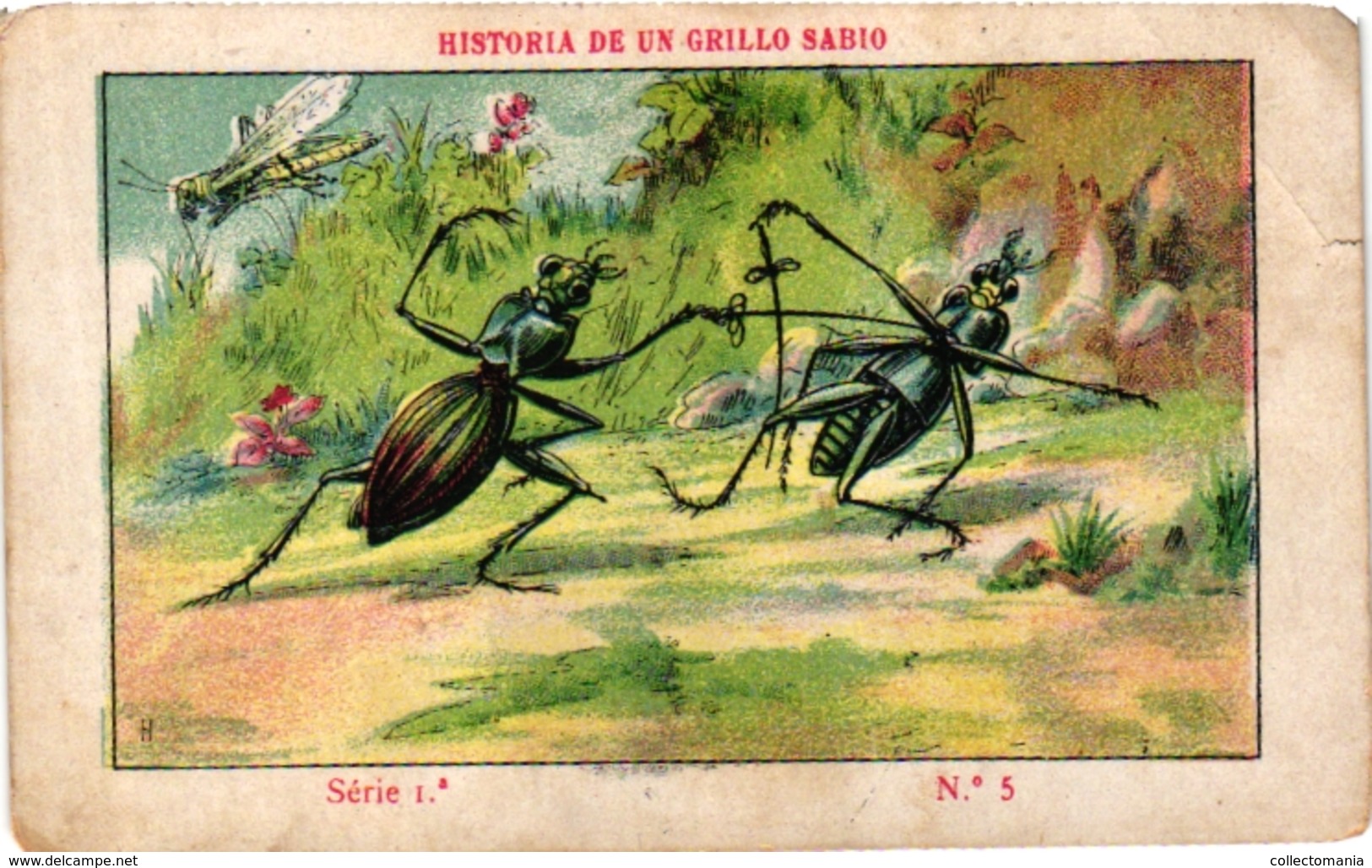 1Blotter Buvard 7 Trade Cards  FENCING ESCRIME FECHTEN  Pub Chocolates Jaime Boix Barcelona Olympia 1936 &1932 - Schermen