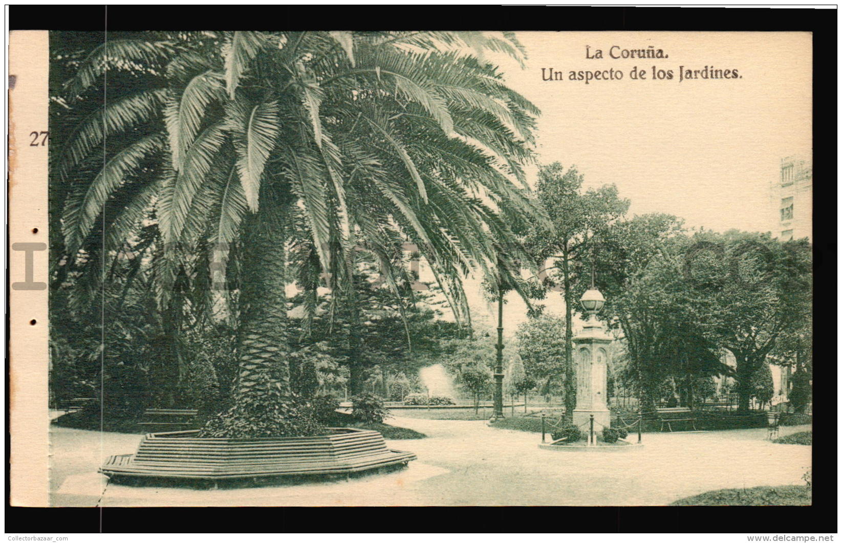 Jardines Palmera Palm Tree Coru&ntilde;a Galicia Espa&ntilde;a Tarjeta Postal Vintage Original C1900 POSTCARD  CPA AK W4 - La Coruña