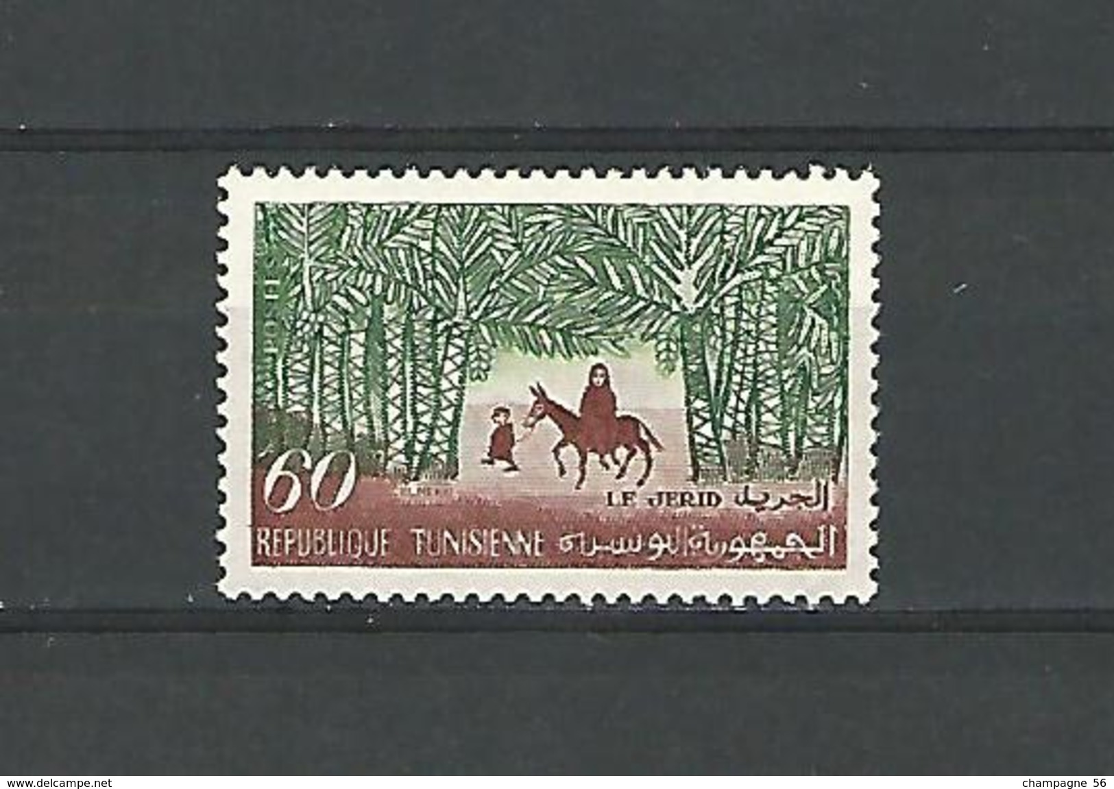 1956  N° 489  LE JERID  NEUF ** GOMME - Tunisie (1956-...)