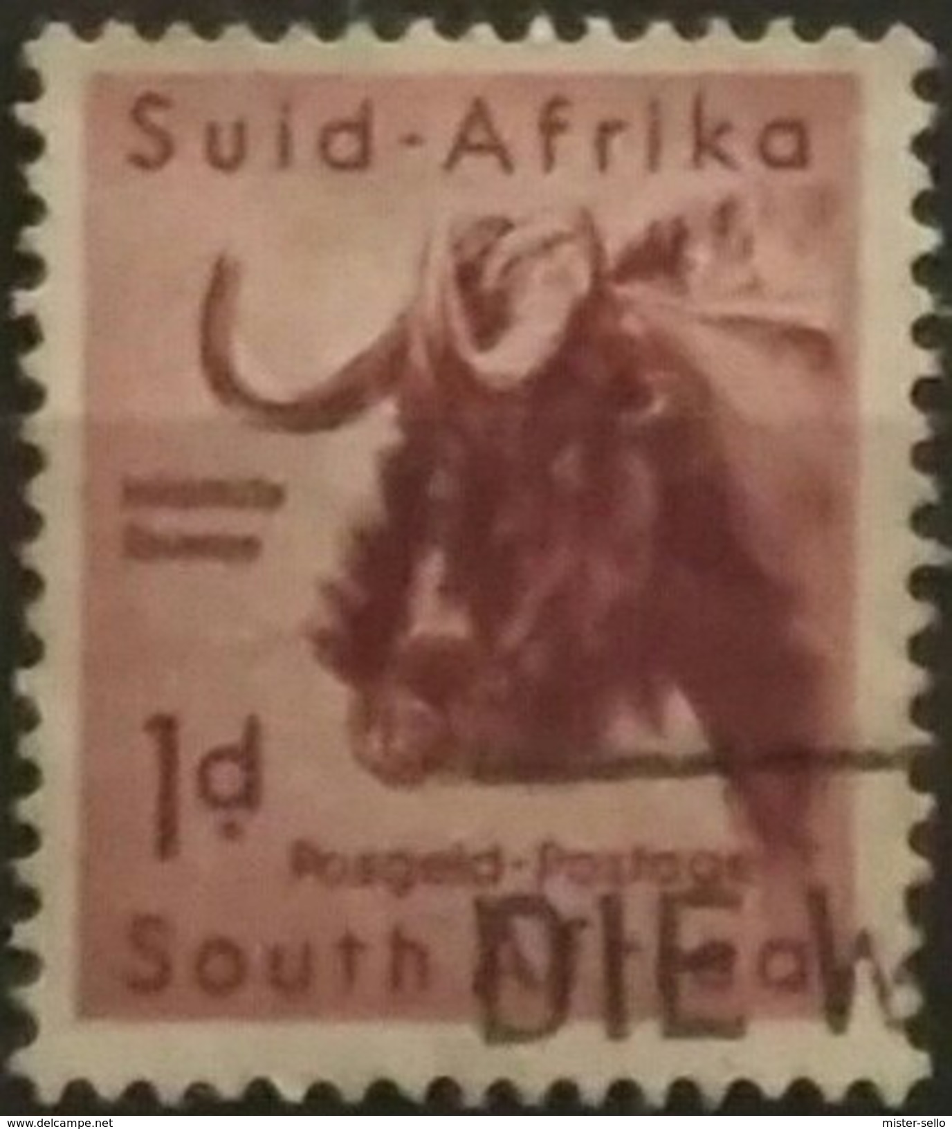 SUDAFRICA - AFRICA DEL SUR 1954 Local Animals. USADO - USED. - Usados