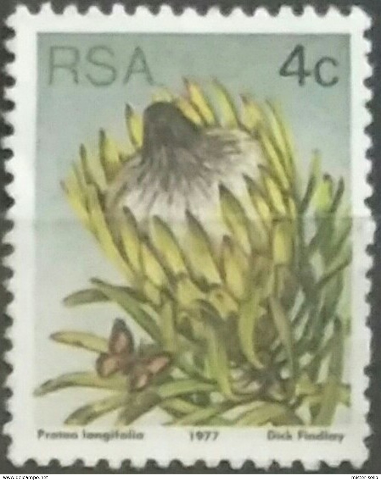 SUDAFRICA - AFRICA DEL SUR 1977 Flora - Protesta Plants. USADO - USED. - Gebraucht