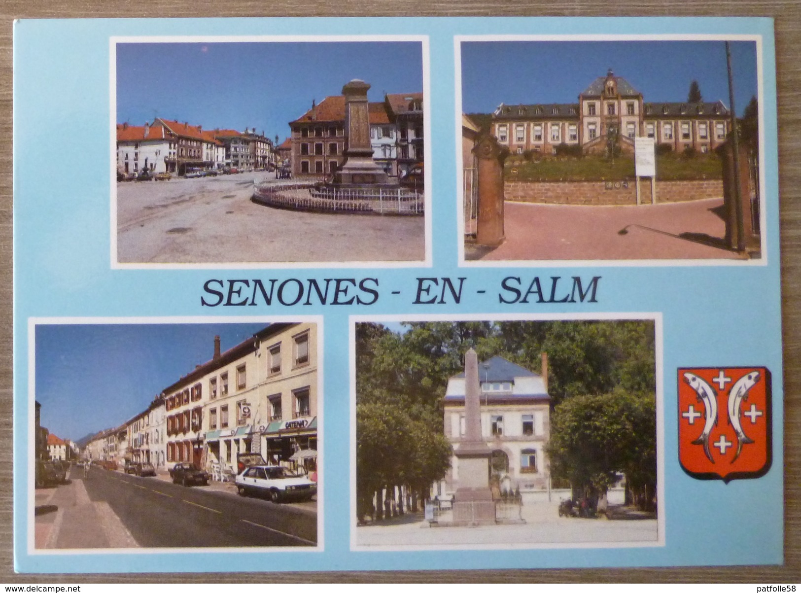 SENONES EN SALM (88). MULTIVUE . ANNEE 1992 . TBE - Senones