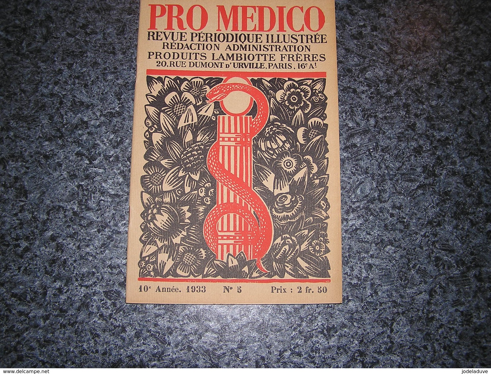 PRO MEDICO Revue N° 5 Année 1933 Lambiotte Médecine Peinture Moderne Lustucru Hommes Sans Têtes Monstres Saint Martial - Geschiedenis