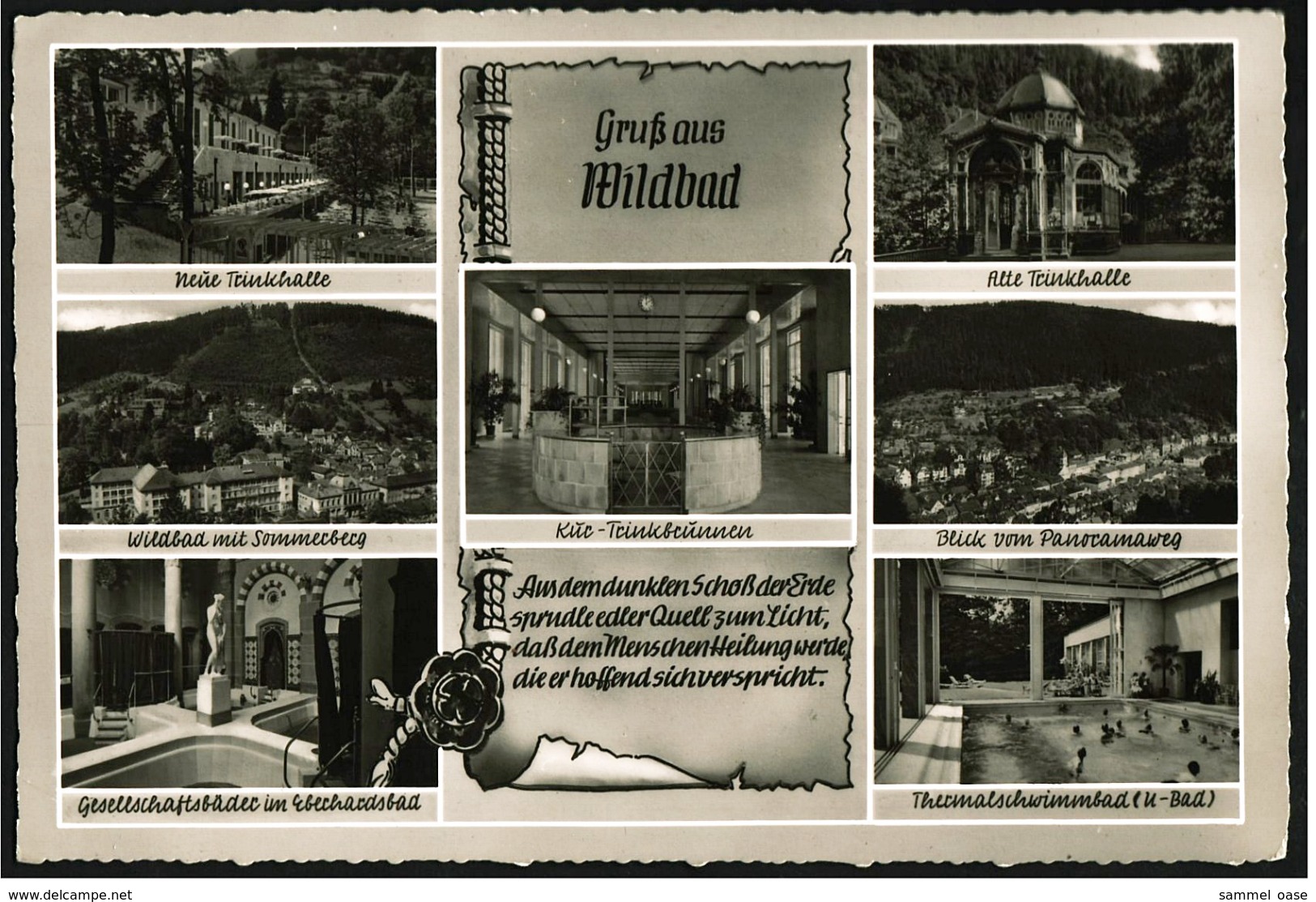 Bad Wildbad  Schwarzwald  -  Mehrbild-Ansichtskarte Ca.1960    (6895) - Altensteig