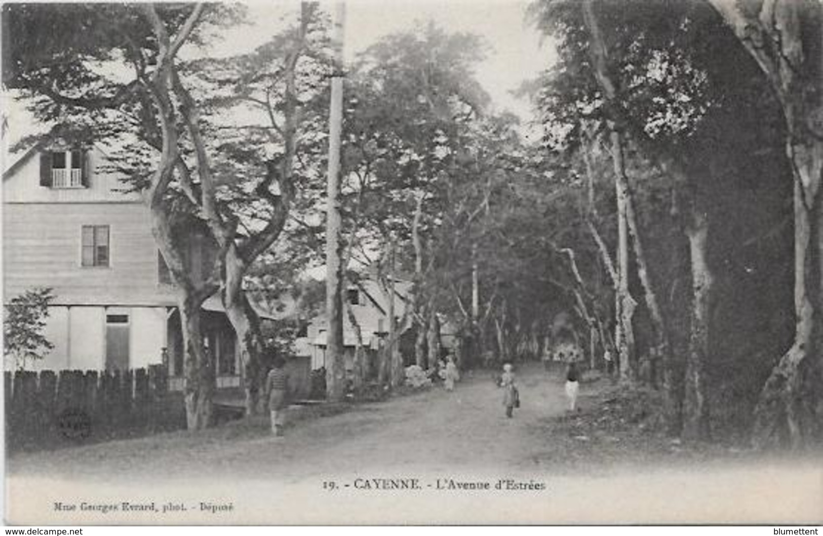 CPA Guyane Cayenne Non Circulé Dos Non Séparé édition Evrard - Cayenne