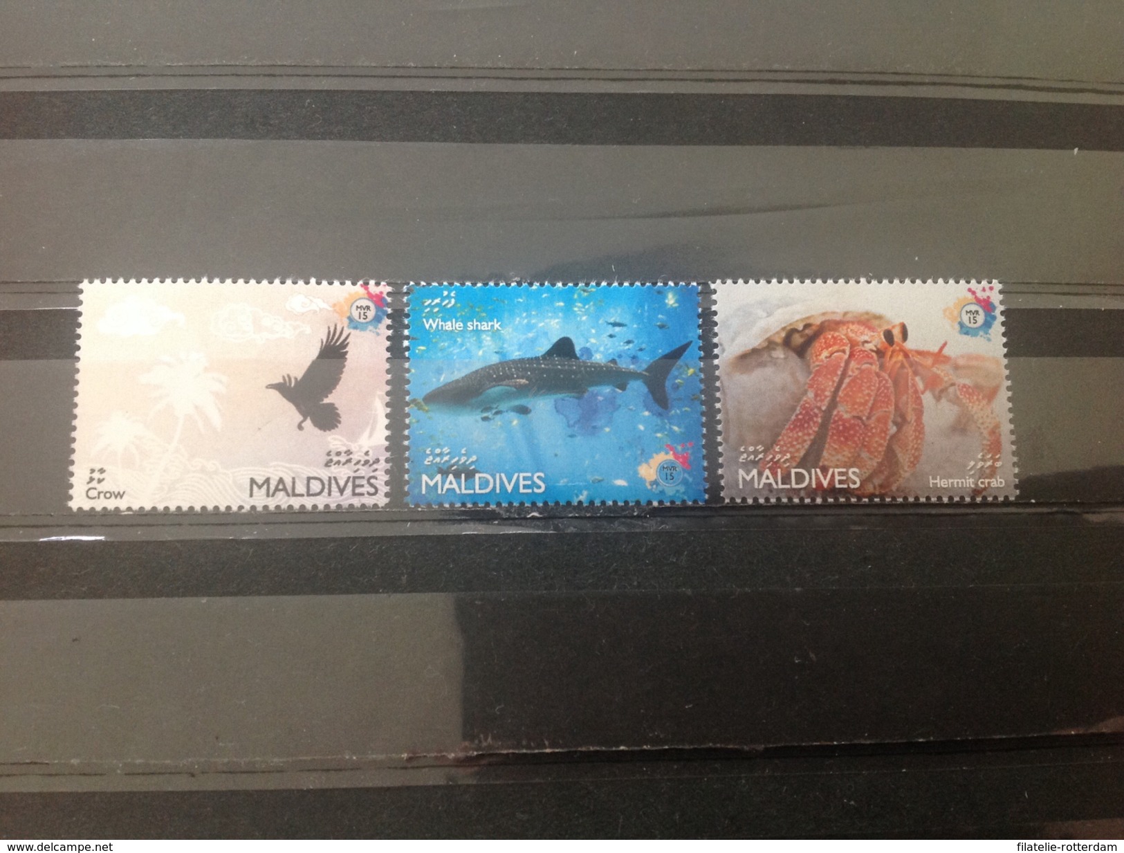 Maldiven / Maldives - Postfris / MNH - Complete Set Fauna 2016 - Maldiven (1965-...)