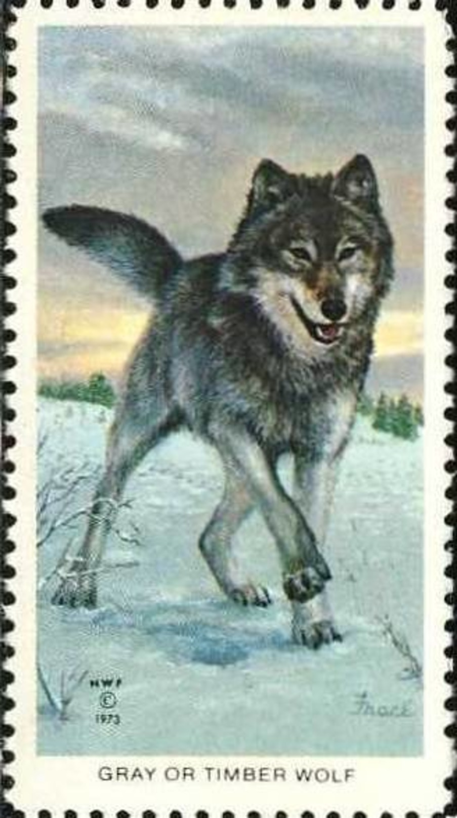 USA 1973. Gray Wolf And His Habitat, Loup. Timbre / Vignette, National Wildlife Fed. - Chiens