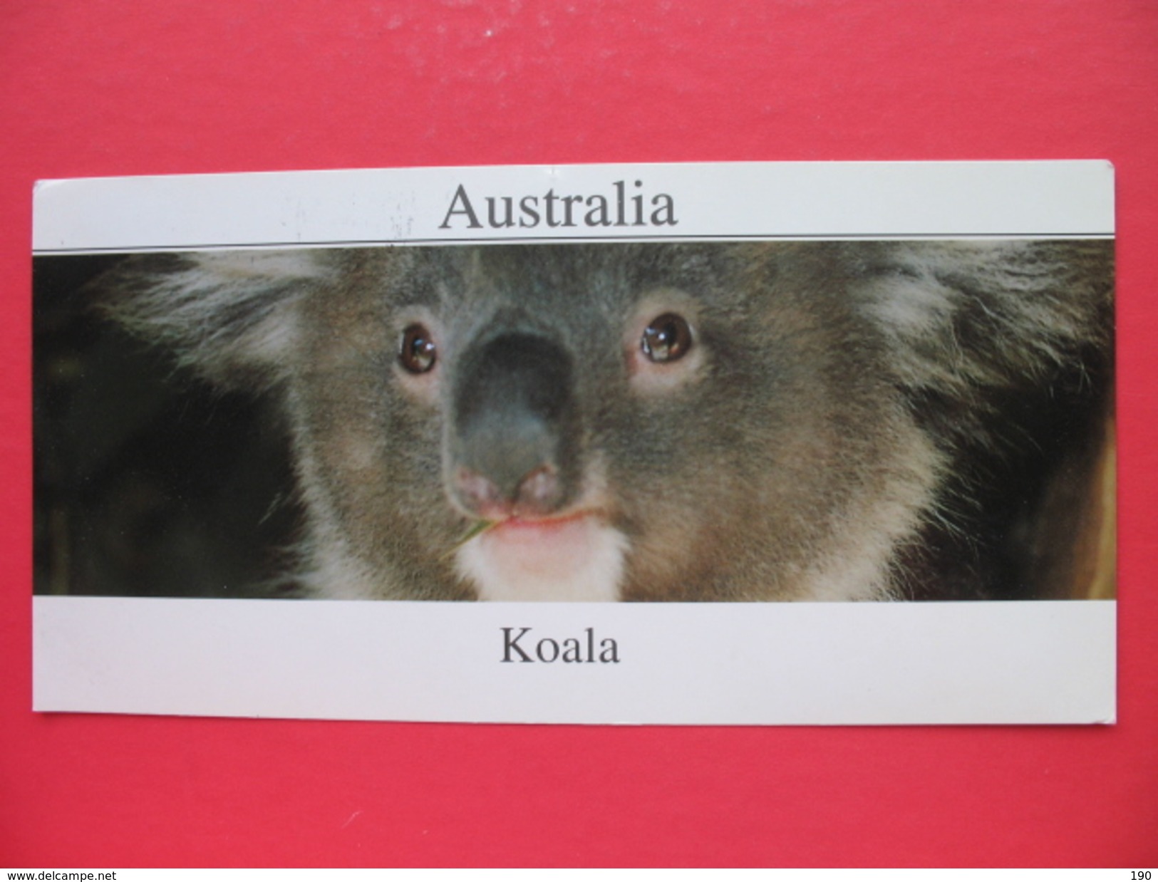 Koala - Outback