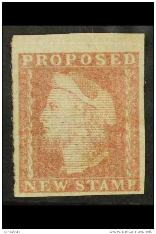 1879 TENDER Essay Inscribed "Proposed New Stamp" In Red-brown, Similar To Charles Skipper Dummy Stamp Illustrated... - Autres & Non Classés