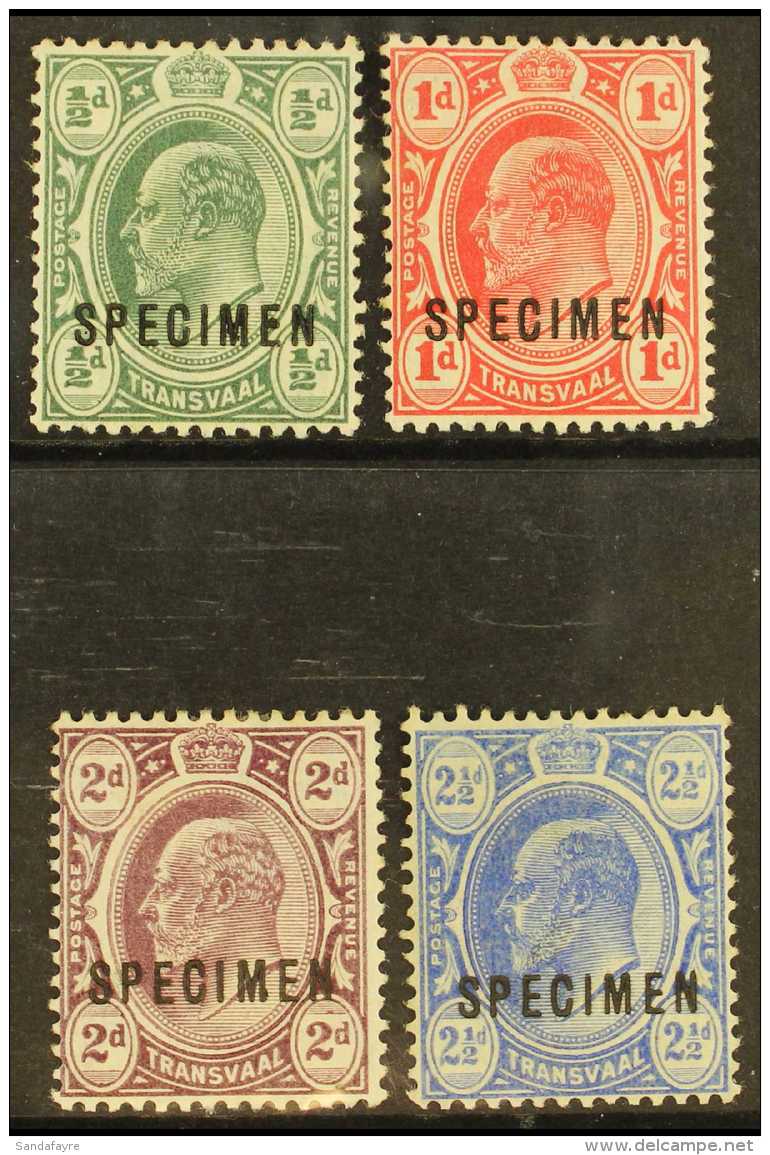 TRANSVAAL 1905-9 KEVII Wmk Mult Crown CA Set Overprinted "SPECIMEN" SG 273s/6s, Good To Fine Mint (4). For More... - Unclassified