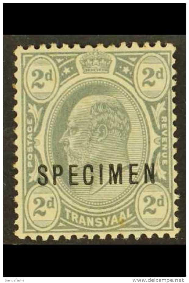 TRANSVAAL 1909 2d Grey, Wmk Mult Crown CA, Ovpts "SPECIMEN," Prepared For Use But Not Issued, SG 277s, Fine Mint,... - Non Classés