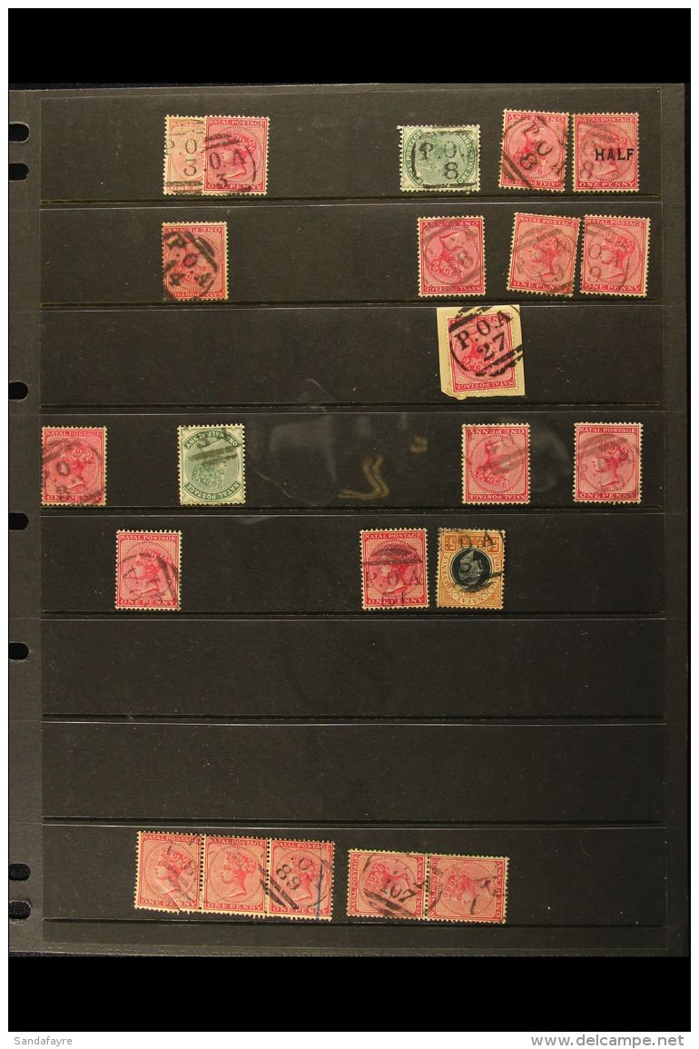 NATAL POSTMARKS COLLECTION. A Fascinating Collection Of Most QV Stamps Selected For Cancellations, Most Are... - Non Classés