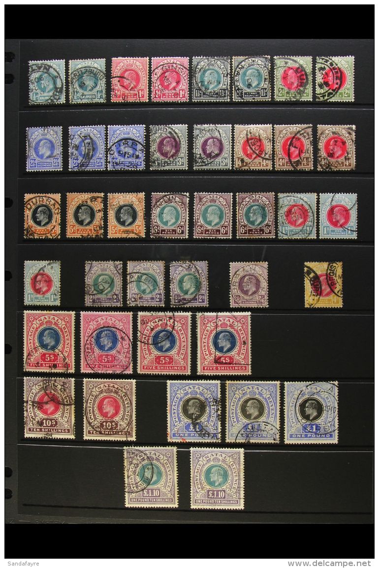 NATAL 1902-09 USED HOARD Presented On Stock Pages. Lightly Duplicated And Some Issues Bearing Fiscal Cancels Plus... - Non Classés