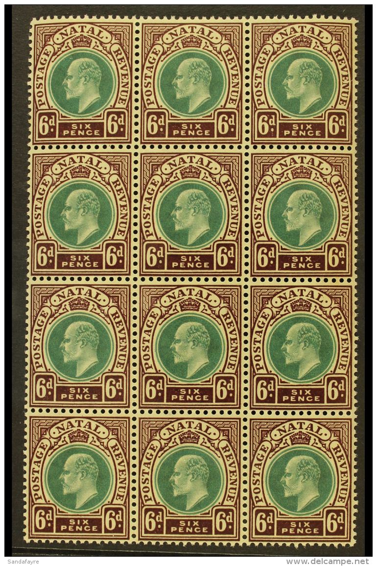 NATAL 1902-03 6d Green &amp; Brown Purple, SG 135, BLOCK Of 12 (3 X4), Never Hinged Mint (12 Stamps) For More... - Non Classés