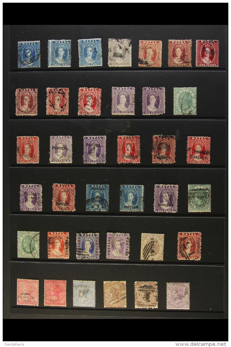 NATAL 1859-1899 VICTORIA ALL DIFFERENT COLLECTION CAT &pound;3250+. A Most Useful "Basic" Run Of Issues From... - Unclassified